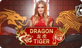 龙虎